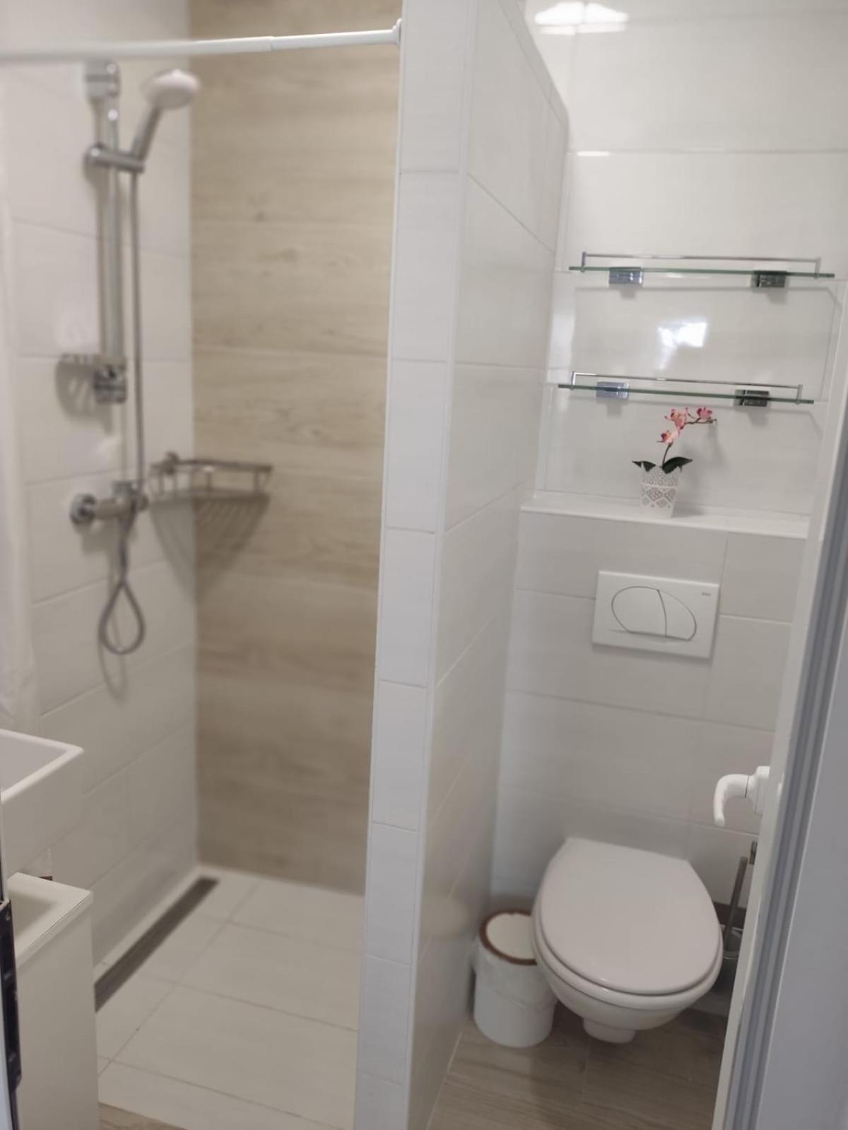 Ferienhaus Bozena Appartment 4 Vrsar Exteriör bild